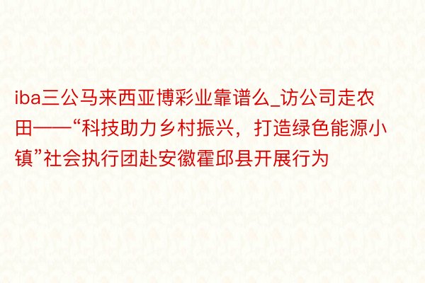 iba三公马来西亚博彩业靠谱么_访公司走农田——“科技助力乡村振兴，打造绿色能源小镇”社会执行团赴安徽霍邱县开展行为