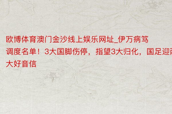欧博体育澳门金沙线上娱乐网址_伊万病笃调度名单！3大国脚伤停，指望3大归化，国足迎两大好音信