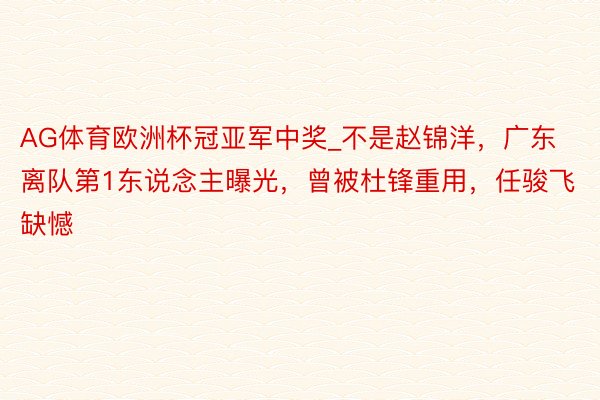 AG体育欧洲杯冠亚军中奖_不是赵锦洋，广东离队第1东说念主曝光，曾被杜锋重用，任骏飞缺憾
