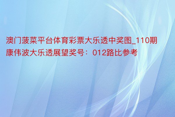 澳门菠菜平台体育彩票大乐透中奖图_110期康伟波大乐透展望奖号：012路比参考